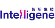 Intelligene